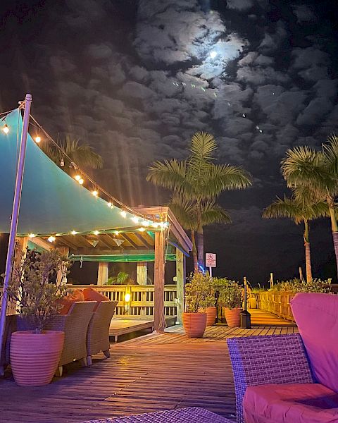 Outdoor deck with wicker furniture, string lights, and a canopy. The night sky is partly cloudy, with a full moon and palm trees in the background.