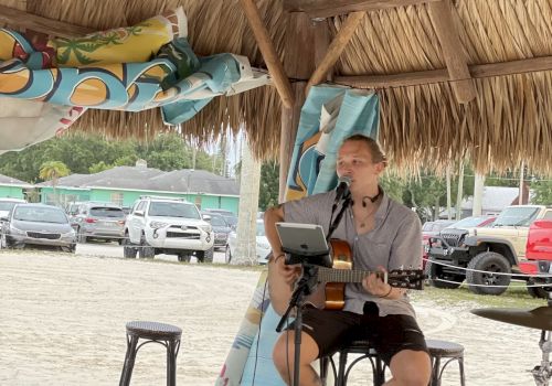 A person is playing guitar and singing into a microphone under a thatched roof, with music equipment around and a parking area in the background.