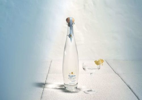 A tall bottle with a yellow label next to a glass containing a lemon wedge on a light-colored surface, creating a minimalist composition.