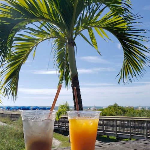 Two drinks in plastic cups are placed on a wooden surface with a palm tree and a beach in the background.