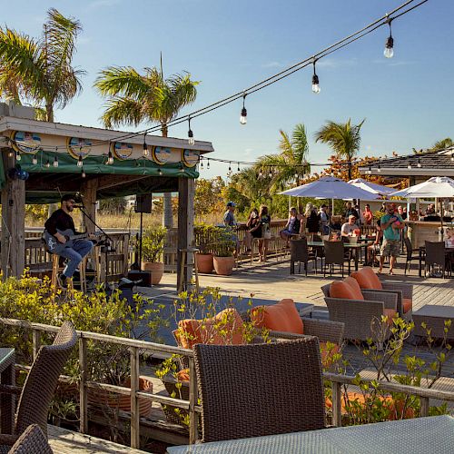 Outdoor restaurant with people dining, surrounded by palm trees and string lights, featuring a musician performing on a stage.